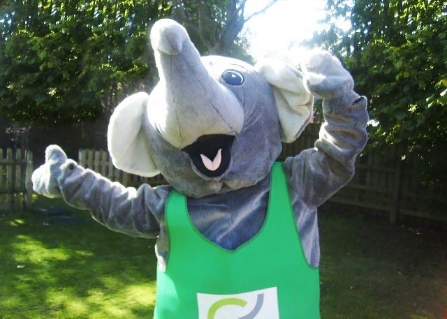 Trunky the elephant Trunky the elephant